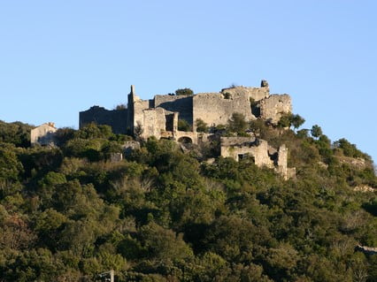 Château d'Allègre, face-ouest_©association du château d'Allègre